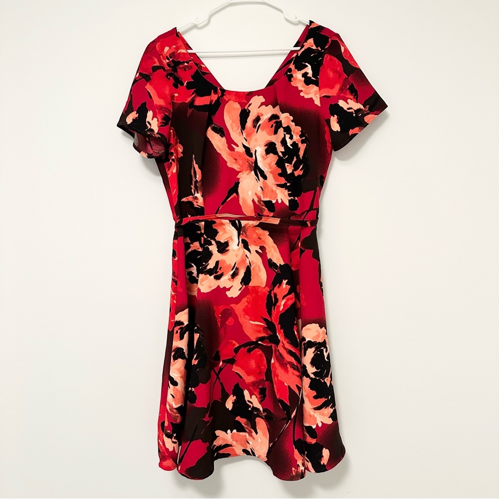 Eva Mendes for New York & Company Red Peony Fit and Flare Belted Dress Womens 16